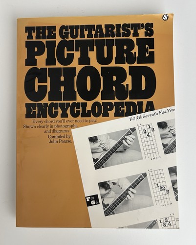 The guitarrist picture - the,