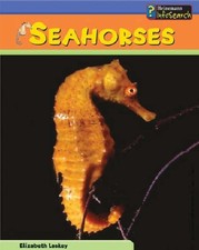 Sea Creatures: Sea Horses