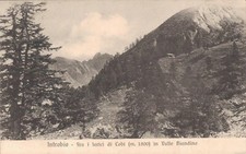 Lecco Introbio fra i Larici di Cobi      non Spedita f. piccolo