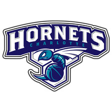 Adesivo basket logo Charlotte
