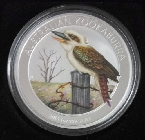 Kookaburra 2016 colore