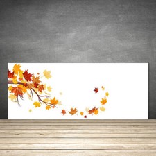 Splashback Paraschizzi