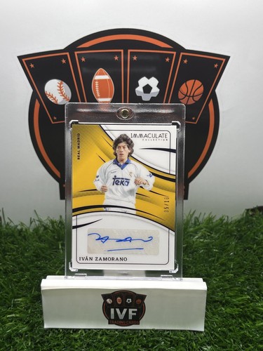 2024 panini immacolata - panini,