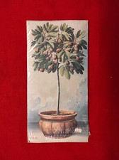 STAMPA D'AUTORE MARCELLO M