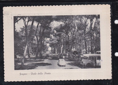 Cartolina fregene viale della - fregene,