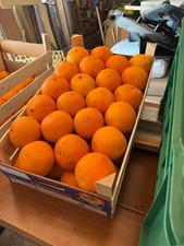 Arance di Sicilia,Varietà