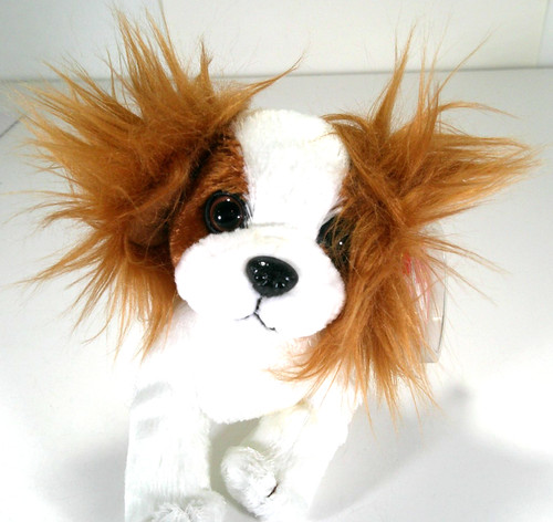 Cavalier king charles spaniel - king,