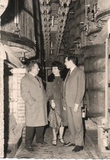 ftg 52 - TRIESTE -1964 -