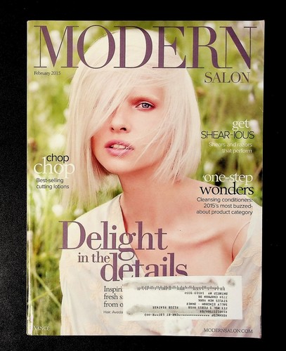 Modern salon february 2015 - salon,