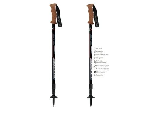 Fizan bastoncini s227516 - fizan,
