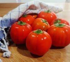 20 SEMI DI MELANZANA ROSSA DI ROTONDO ROTONDA