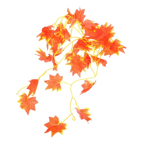 Decorazione per animali - per,