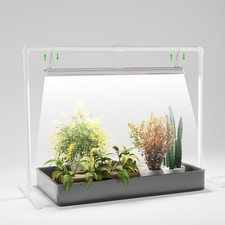 Luce di Coltivazione per Semi