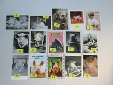 CARTOLINA MAIALI MAIALINI  10