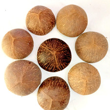 Conchiglia di Cocco Metà