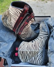 Metisse Texano Zebrato