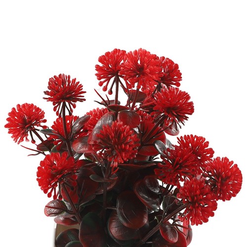 Bonsai albero reale - albero, per