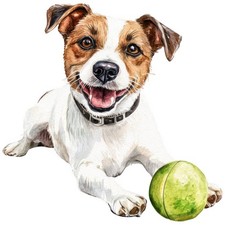 2 adesivi Jack Russell Terrier