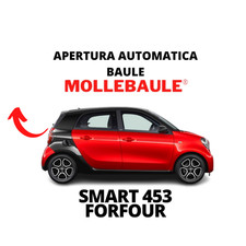 MOLLEBAULE AUTOMATIC OPENING LIFT TRUNK BOOT KIT SMART 453 FORFOUR