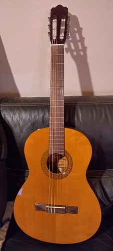 Chitarra acustica walden - chitarra,
