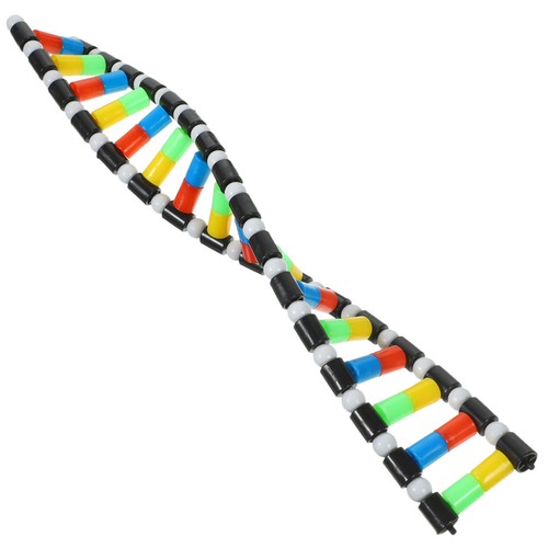 Modello dna a - di,