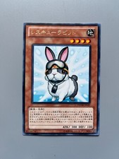 CONIGLIO DA SOCCORSO -