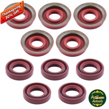 Confezione 10 Guarnizioni Olio