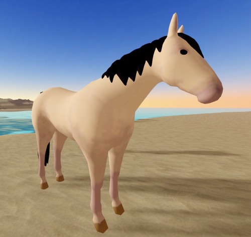Wild horse islands - horse,