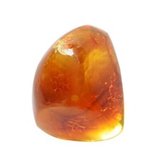 Pietre sciolte di ambra baltica lucida | Gemma biologica naturale per lavoro ...