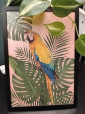 Quadro tropicale con pappagallo e foglie. Con cornice. 