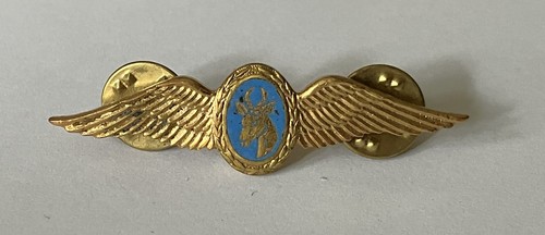 Ali pilota ricognizione aerea