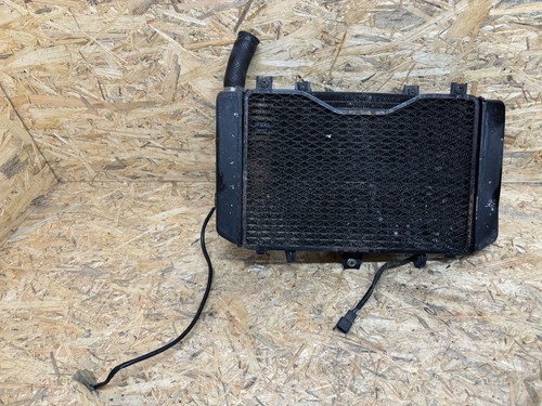 Radiatore acqua kawasaki zrx - radiatore,