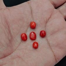 Autentico cabochon di corallo