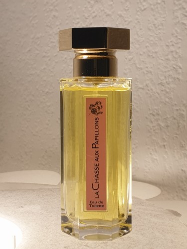 Chasse aux papillons edt - chasse,