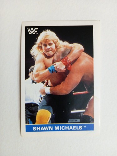 Figurina world wrestling - figurina,
