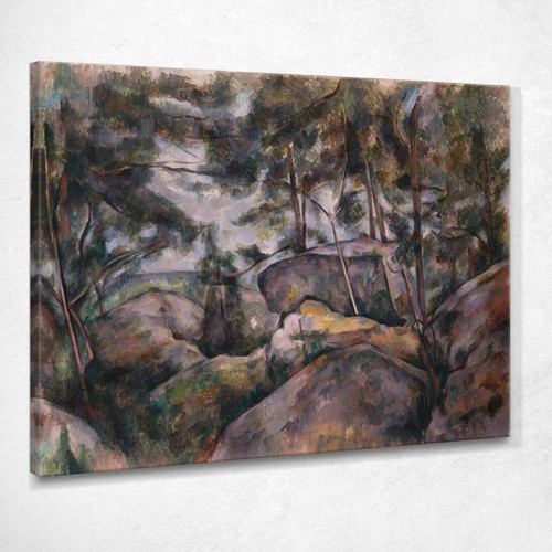 Rocce nella foresta paul - nella,