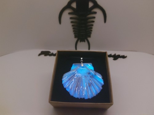 Fossil shell pettine - fossil, pendente