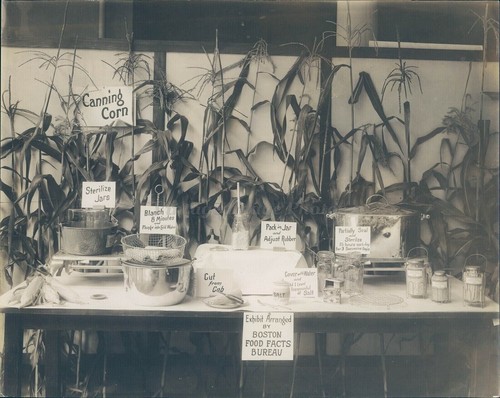 1950 barattolo sterilizzatore