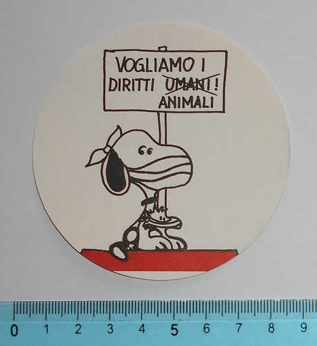 Aufkleber adesivo sticker - adesivo,