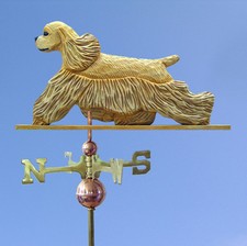 Americano Cocker Spaniel