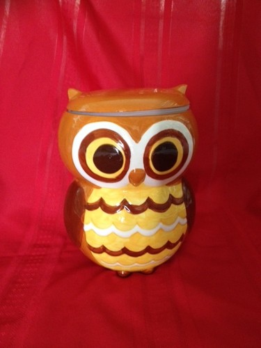 Orange and brown owl - and, cookie