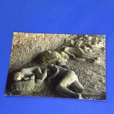 POMPEI CALCHI DI FUGGIASCHI IN UN ORTO CARTOLINA  NON VIAGGIATA