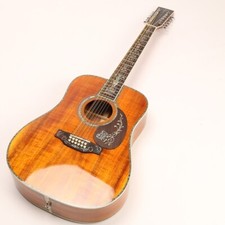 Hollow Body 12 Corde Chitarra