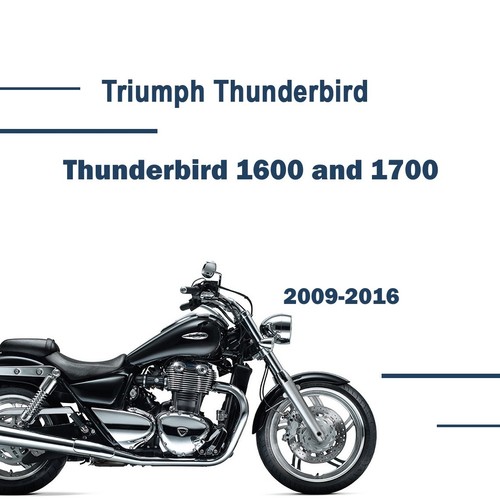 Manuale officina per triumph - officina,