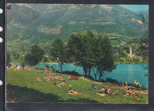 Cartolina spinone lago la - lago,