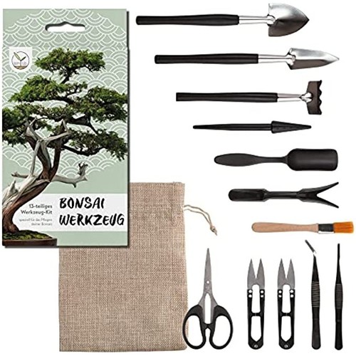 Happy seed kit bonsai attrezzi - happy,