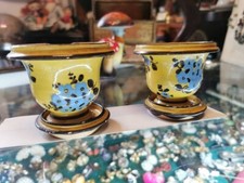 coppia vasi alba docilia