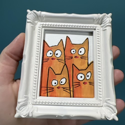 Gatti stravaganti carini