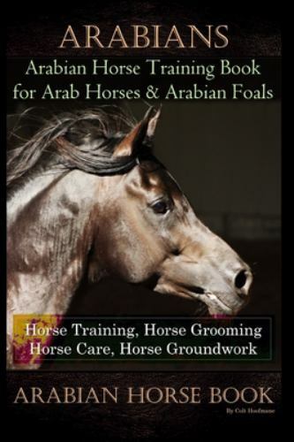Arabians training horse - training,