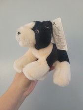 Russ Boxer Domino Cucciolo